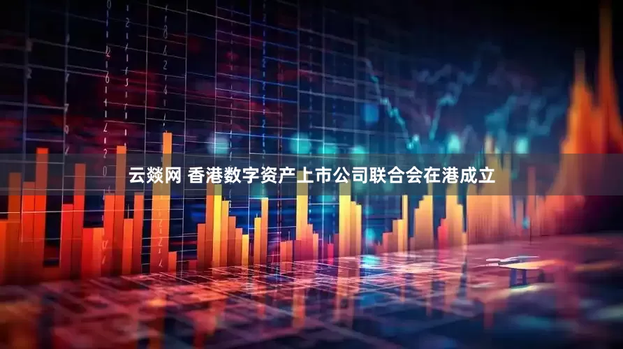 云燚网 香港数字资产上市公司联合会在港成立