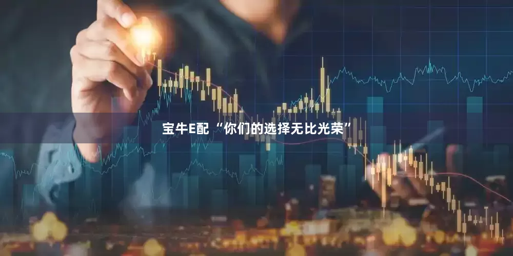 宝牛E配 “你们的选择无比光荣”